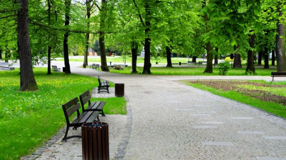 Tips Membuat Taman Agar Tampak Indah